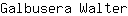 G***r