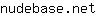 n***t