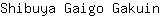 S***n