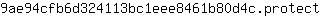 9***t