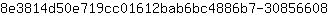8***8