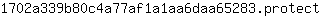 1***t