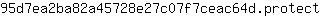 9***t