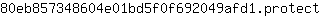 8***t