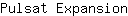 P***n