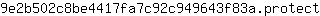 9***t