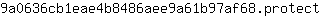 9***t