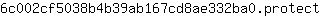 6***t