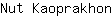 N***n