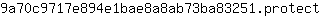 9***t