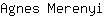 A***i