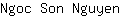 N***n