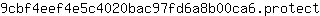 9***t
