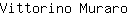 V***o