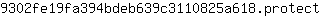 9***t