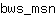 b***n