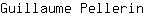 G***n