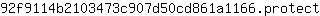 9***t