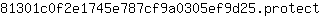 8***t