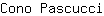 C***i