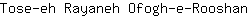 T***n