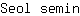 S***n