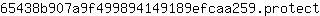 6***t