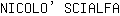 N***A