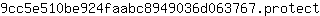 9***t