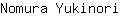 N***i