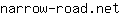 n***t