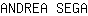 A***A