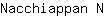 N***N