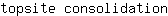 t***n