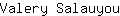 V***u