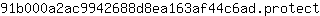 9***t