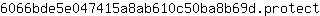 6***t