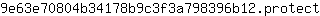 9***t