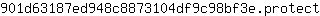 9***t