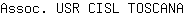 A***A