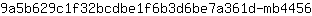 9***6