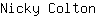 N***n
