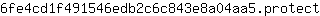 6***t