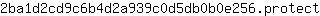 2***t