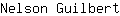 N***t