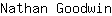N***n