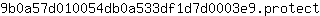 9***t