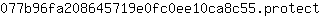0***t