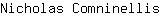 N***s