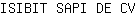 I***V